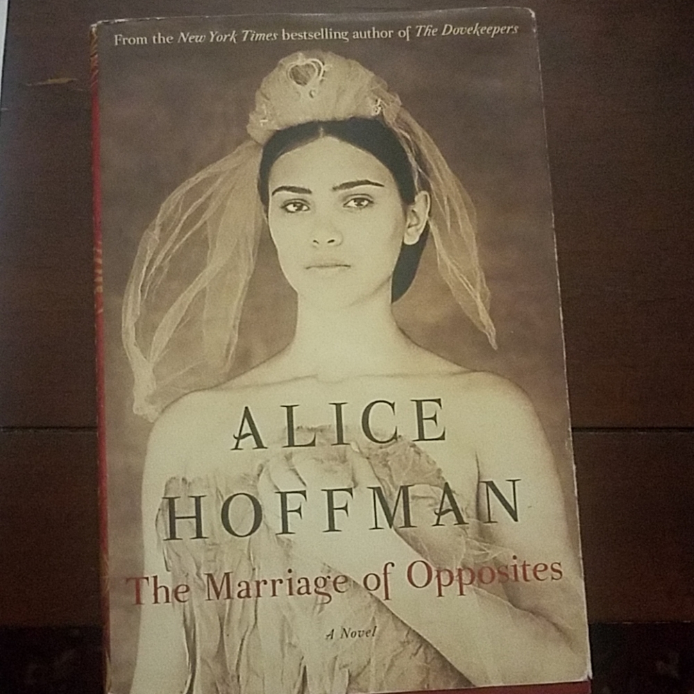 The Marriage of Opposites by Alice Hoffman